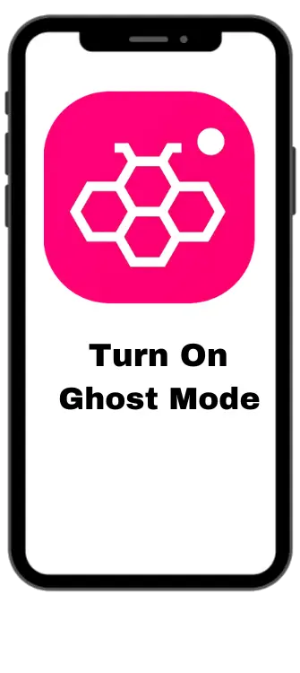 turn on ghost mode in honista